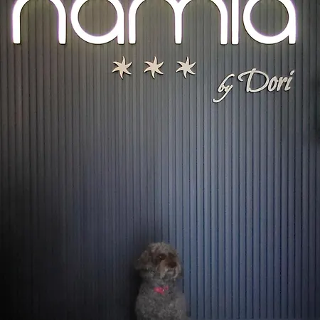 ホテル Namia By Dori 3*